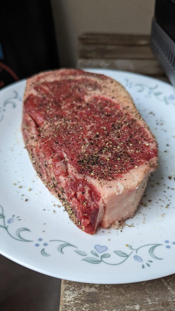 How did I do? First time cooking steak outdoors using a ninja grill