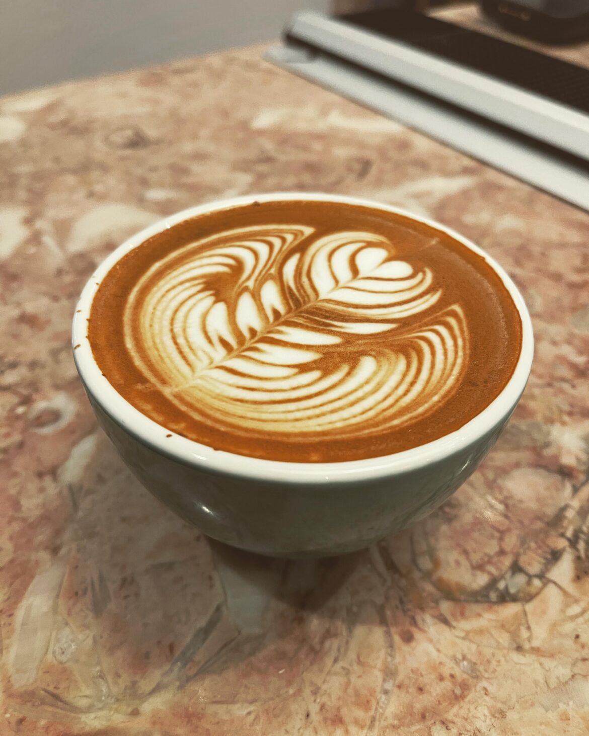My best rosetta so far 🌿🌿