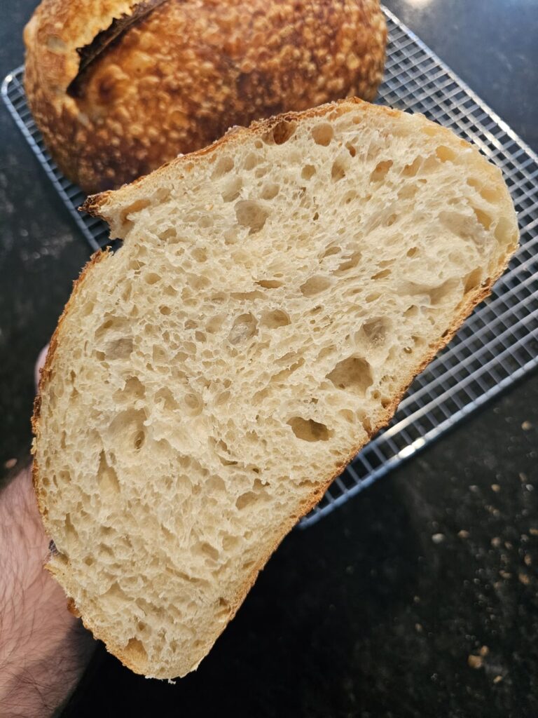 Blistery 70% hydration sourdough + tangzhong Blistery 70% hydration sourdough + tangzhong