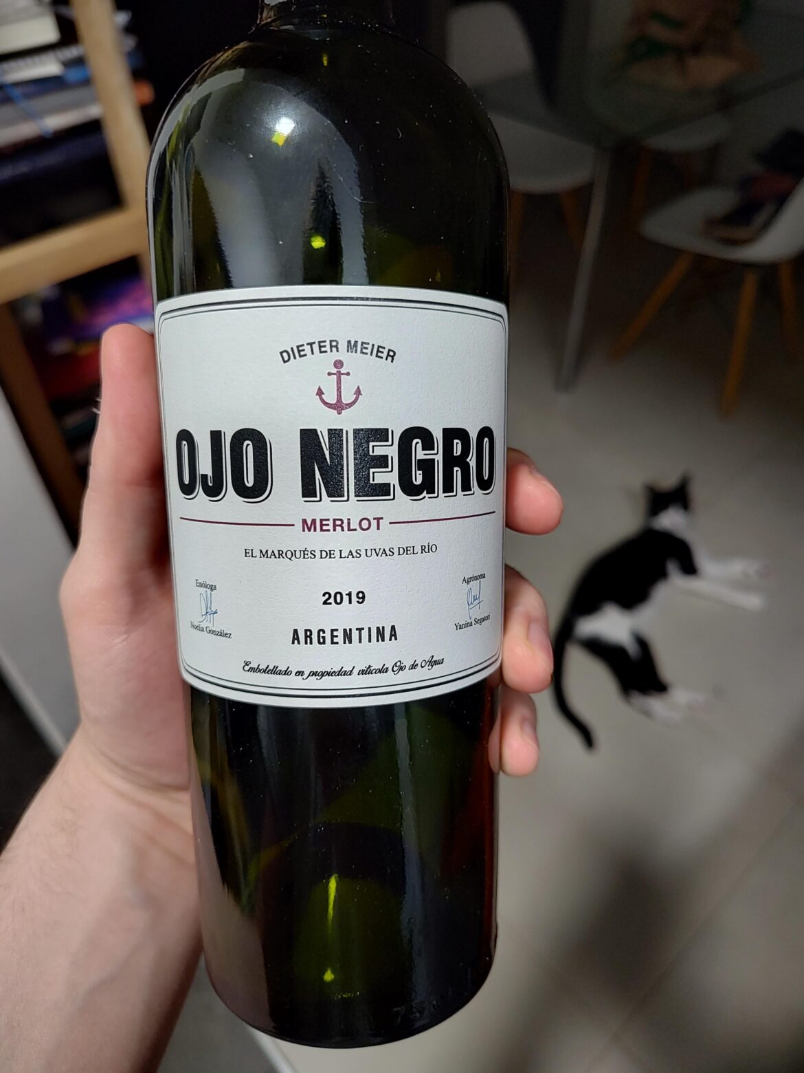 Celebrating Merlot Thursday with this Argentine Patagonia Merlot