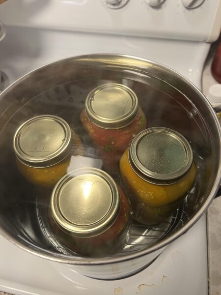 My small scale canning setup - Dining and Cooking