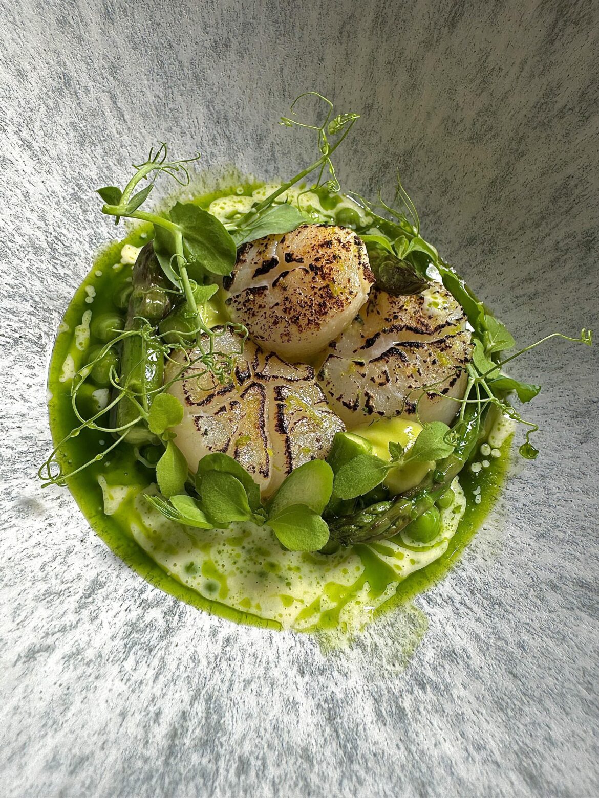 Torched scallops with hollandaise and chive oil sauce, green asparagus, lime and green peas