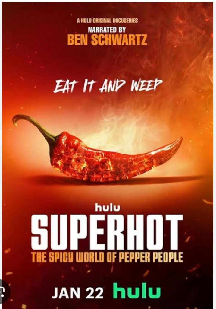 Anyone watch this? Yay or Nay?