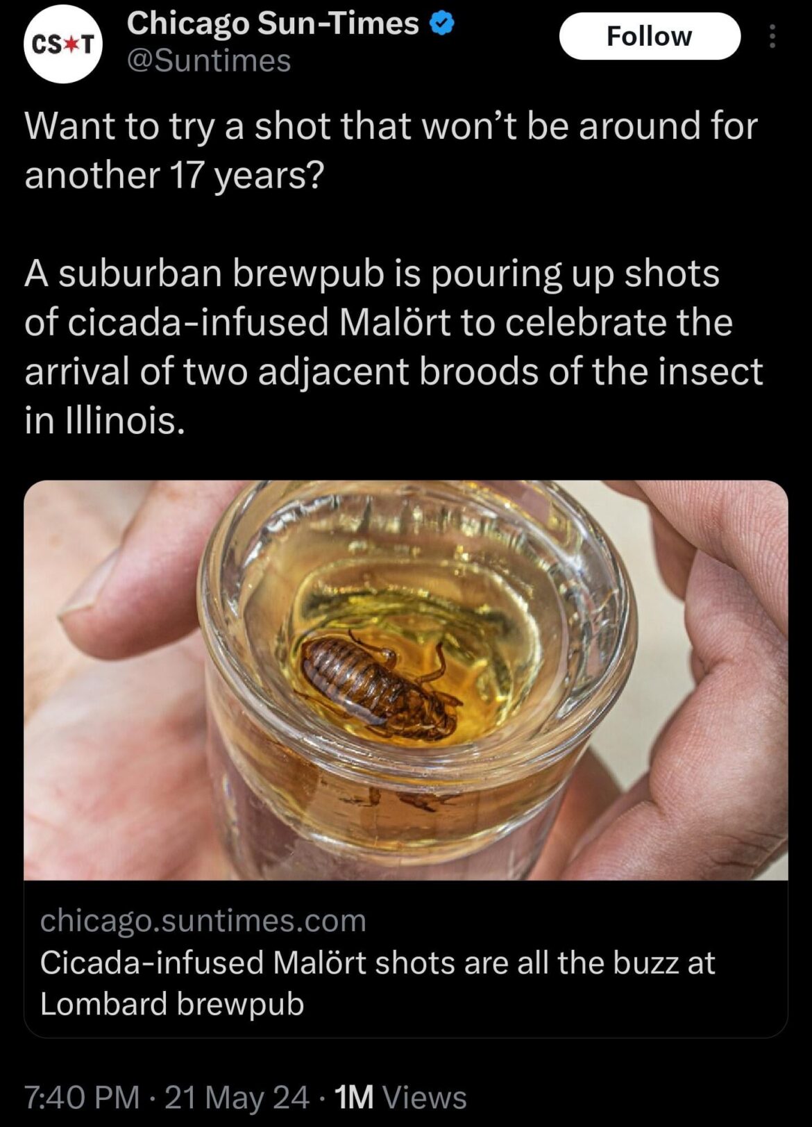 Anyone wanna cicada shot? First round is on me