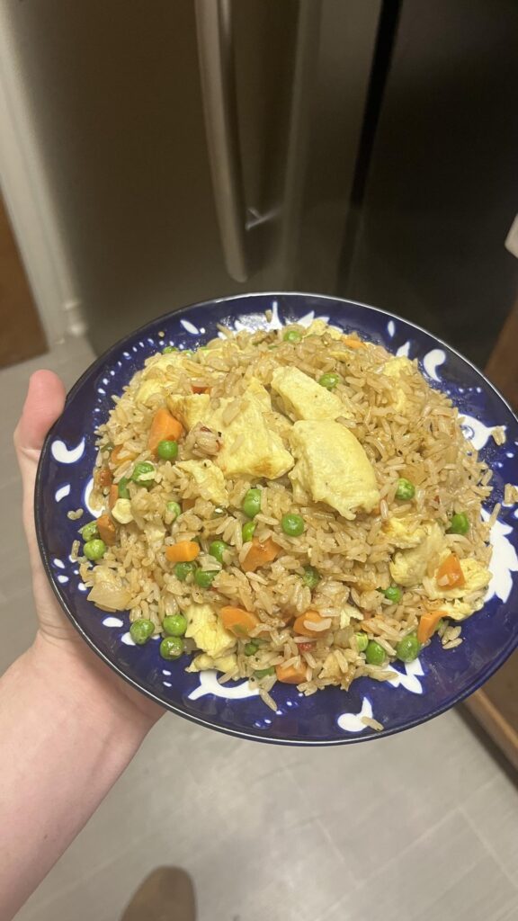 A big plate of rainy day egg fried rice