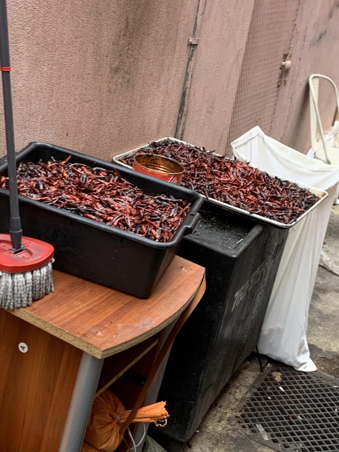 Nightmares in the Back Alley part 2