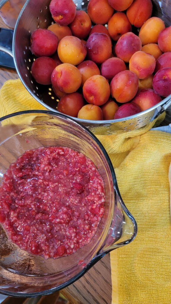 Raspberry apricot jam