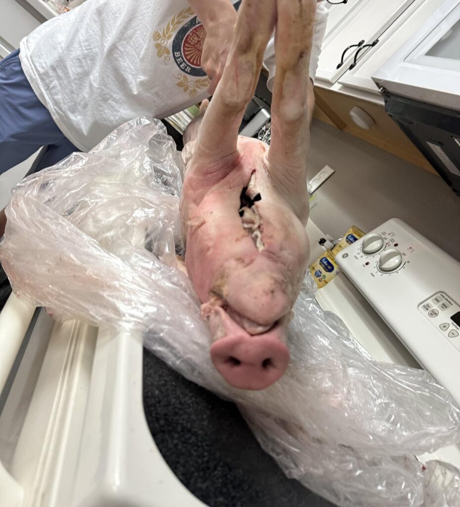 Smoked whole pig for daughters luau