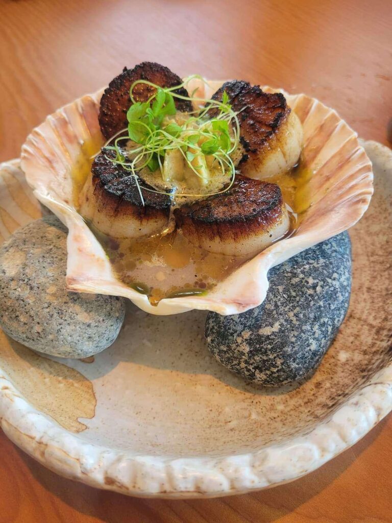 Do we keep the shell and rocks to take home??