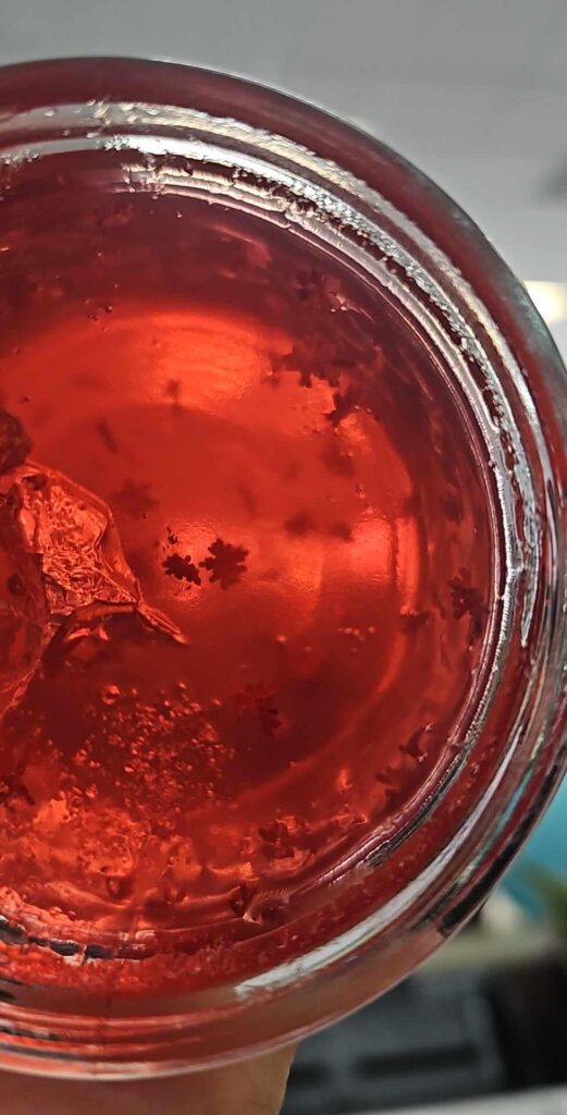 Sour crystals in my wildflower jelly?