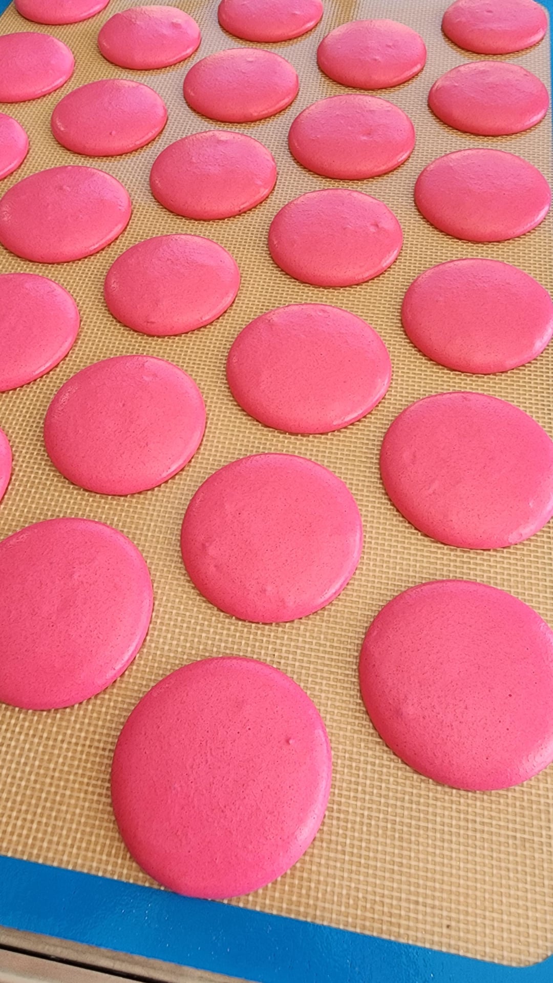 Macaron making in dry climates - Dining and Cooking