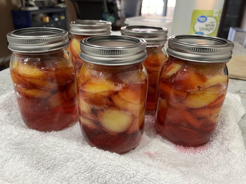First time canning – Plums. Do they look okay? First time canning - Plums. Do they look okay?