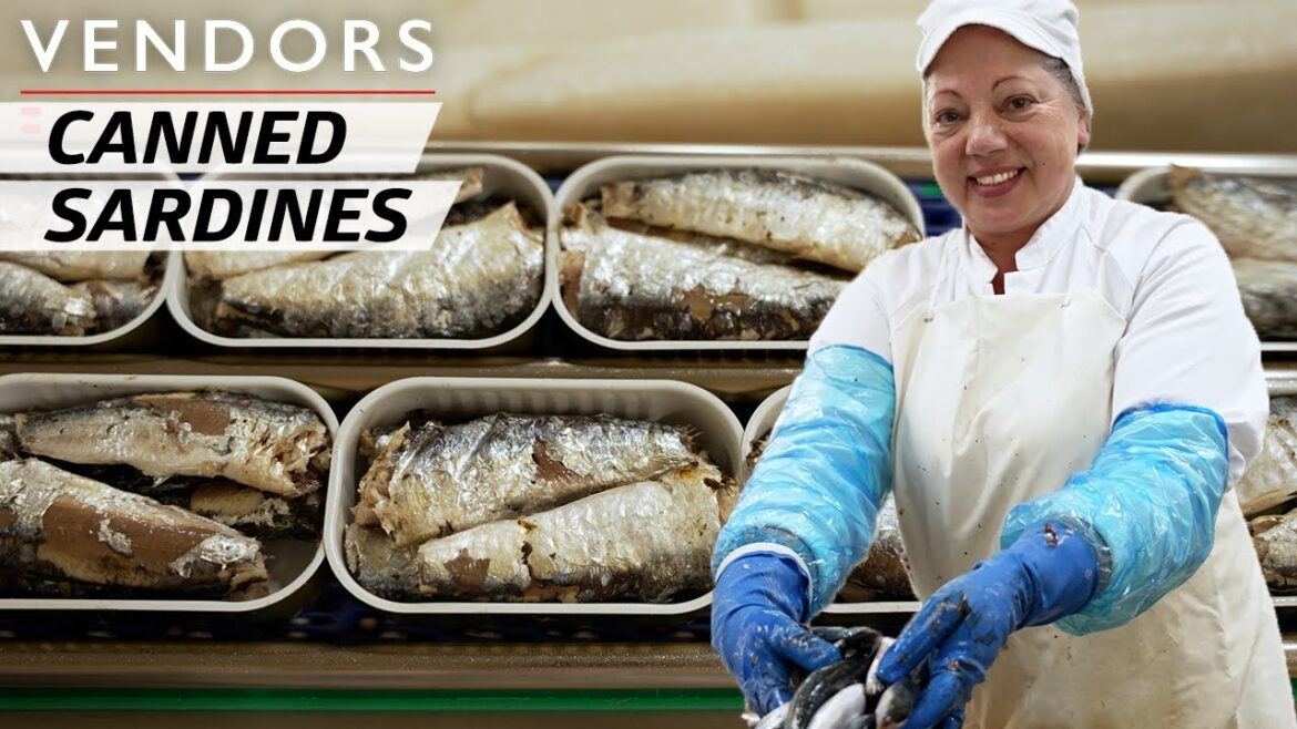 How a Tinned Fish Company Produces 30,000 Cans per Day — Vendors How a Tinned Fish Company Produces 30,000 Cans per Day — Vendors