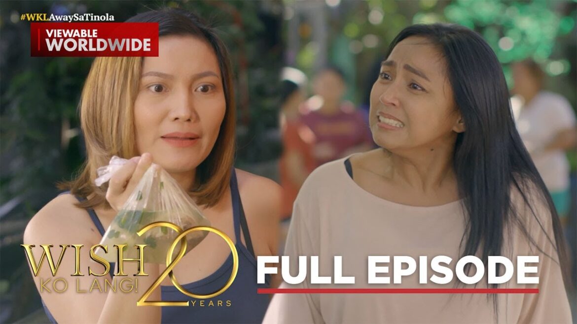 Panis na tinolang manok, ibinayad sa utang?! (Full Episode) | Wish Ko Lang