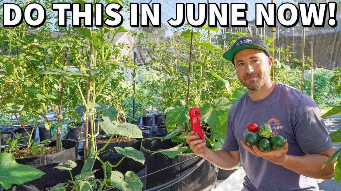 Critical June Garden Tasks Every Gardener Should Do NOW Critical June Garden Tasks Every Gardener Should Do NOW
