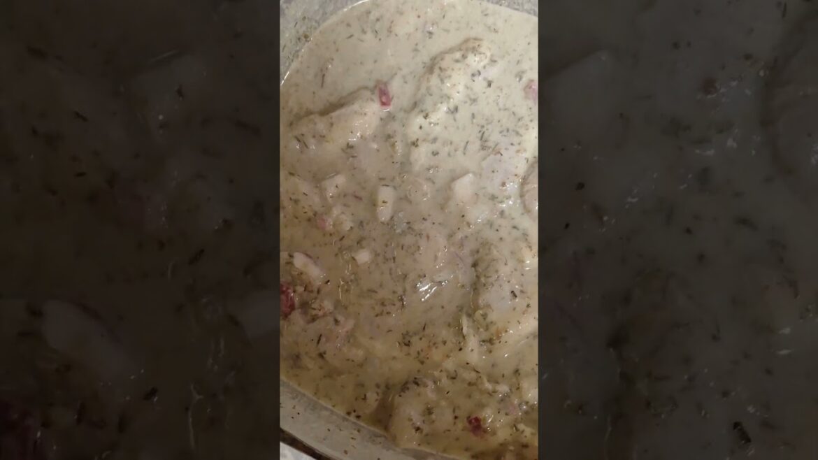 Homemade Flatbread Made in2 A Grilled Greek Chicken Gyro With Homemade Tzatziki Sauce Homemade Flatbread Made in2 A Grilled Greek Chicken Gyro With Homemade Tzatziki Sauce