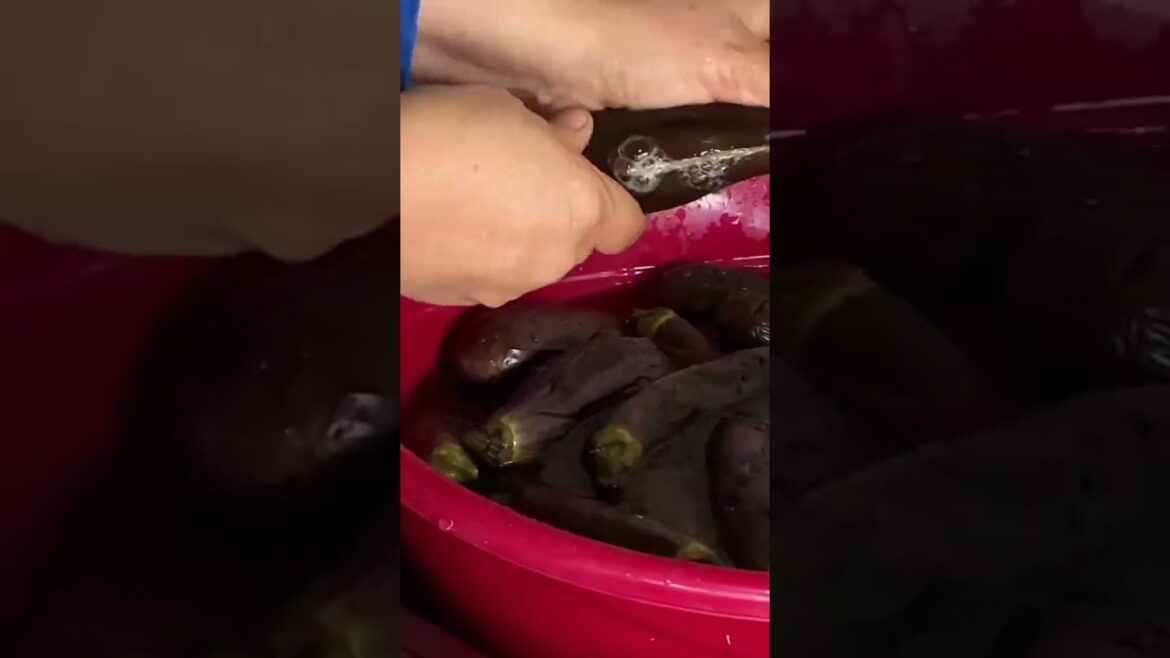 Uzun ve sesli anlatım kanalımda karnıyarık turşusu