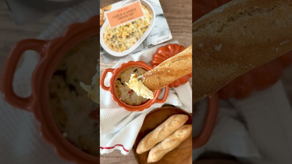 Trying NEW Garlic & Asiago Cheese Dip #traderjoes #newitems #traderjoesreview Trying NEW Garlic & Asiago Cheese Dip #traderjoes #newitems #traderjoesreview