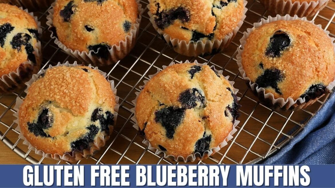 The BEST Homemade Gluten-Free Blueberry Muffins! The BEST Homemade Gluten-Free Blueberry Muffins!