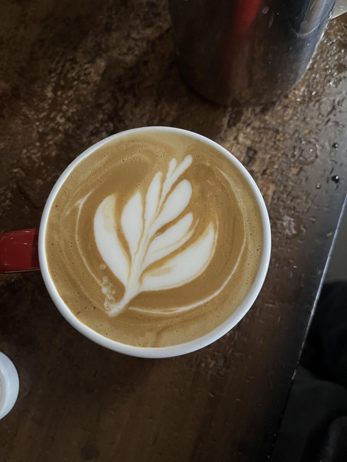 first time my latte art has looked decent