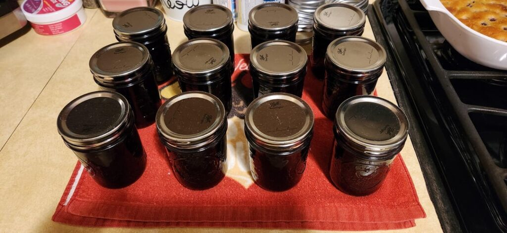 Wild black raspberry jam