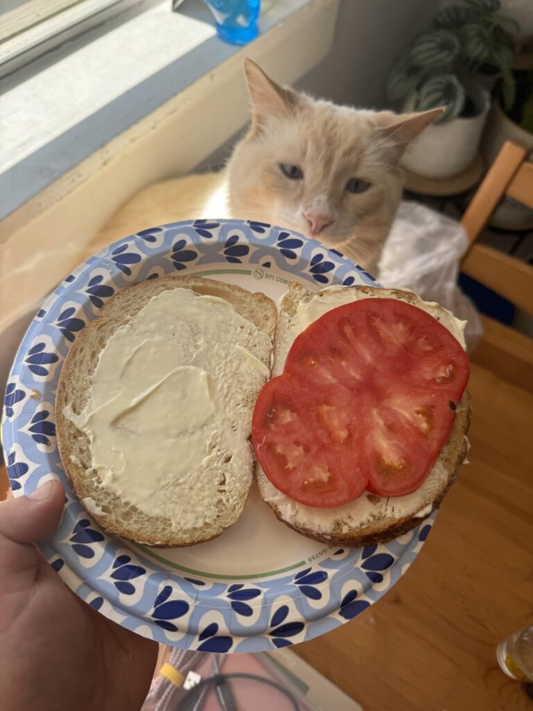 First ripe tomato out of the garden with just bread, salt and mayo