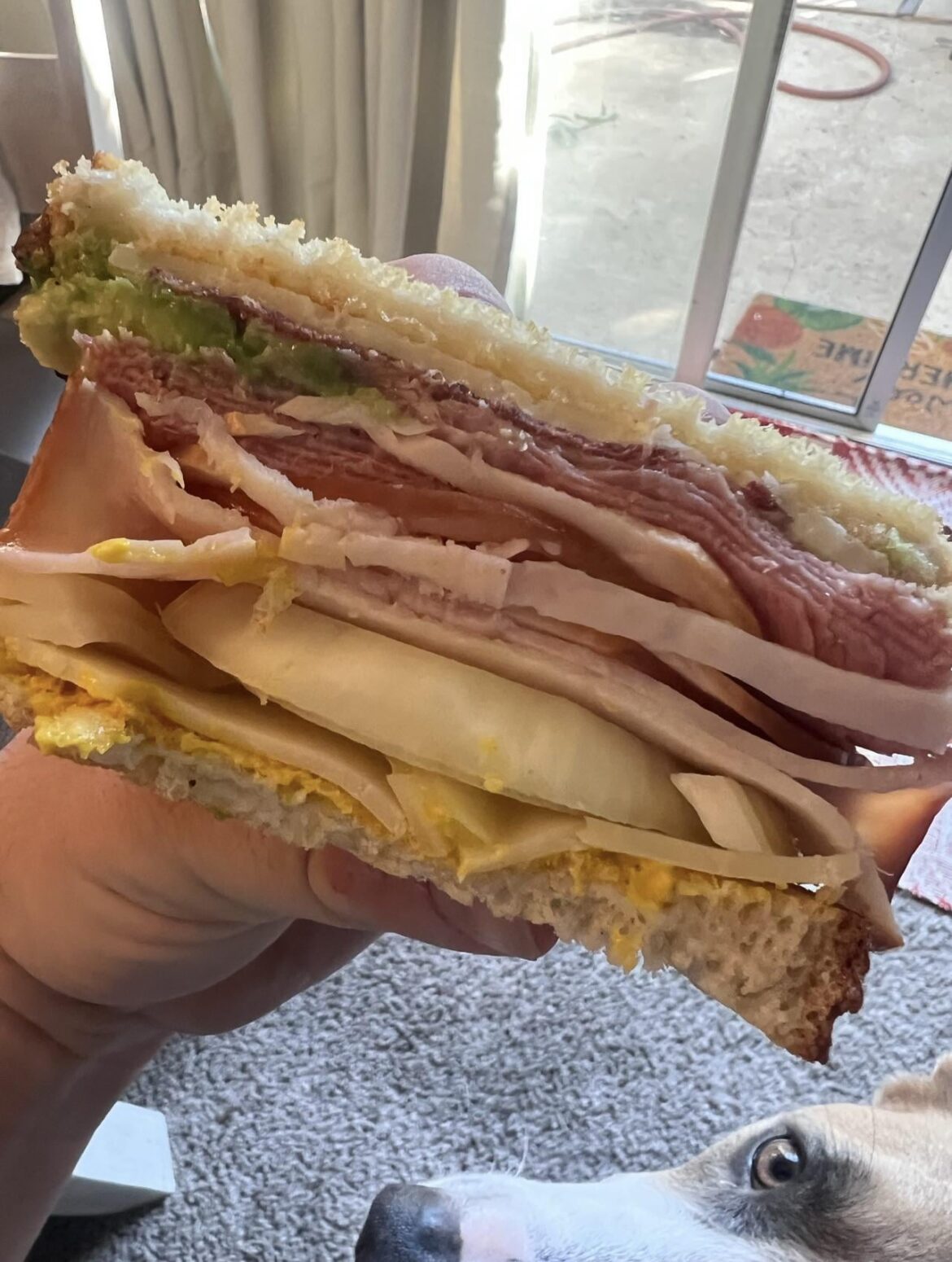 Got laid last night, made a banger sandwich. Dog approves