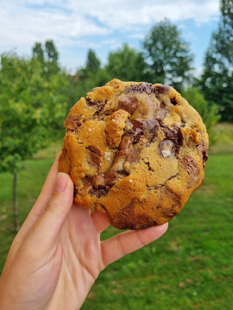 I finally tried the Levain style cookies, even got the chocolate chips (first and last time I splurged on those) and it was worth it