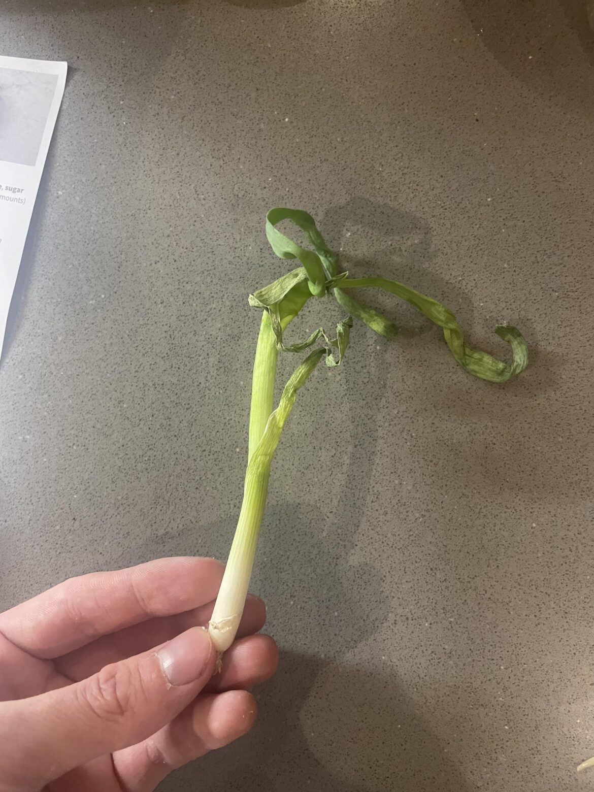 Whoever packed my recipes I hope you stub ur toe💀