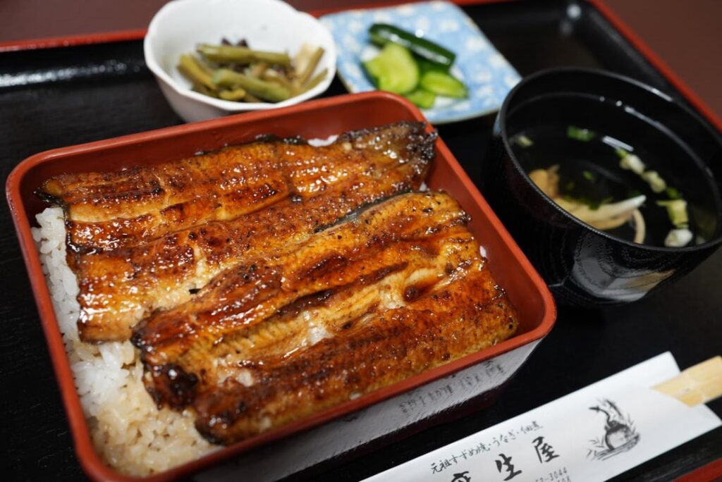 Eel Rice Box
