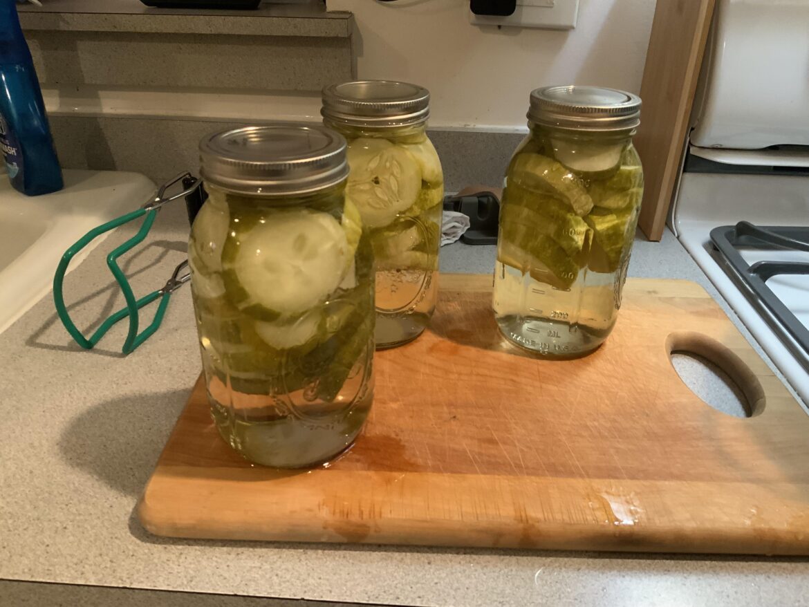 First time making pickles! Are they supposed to be floating…?