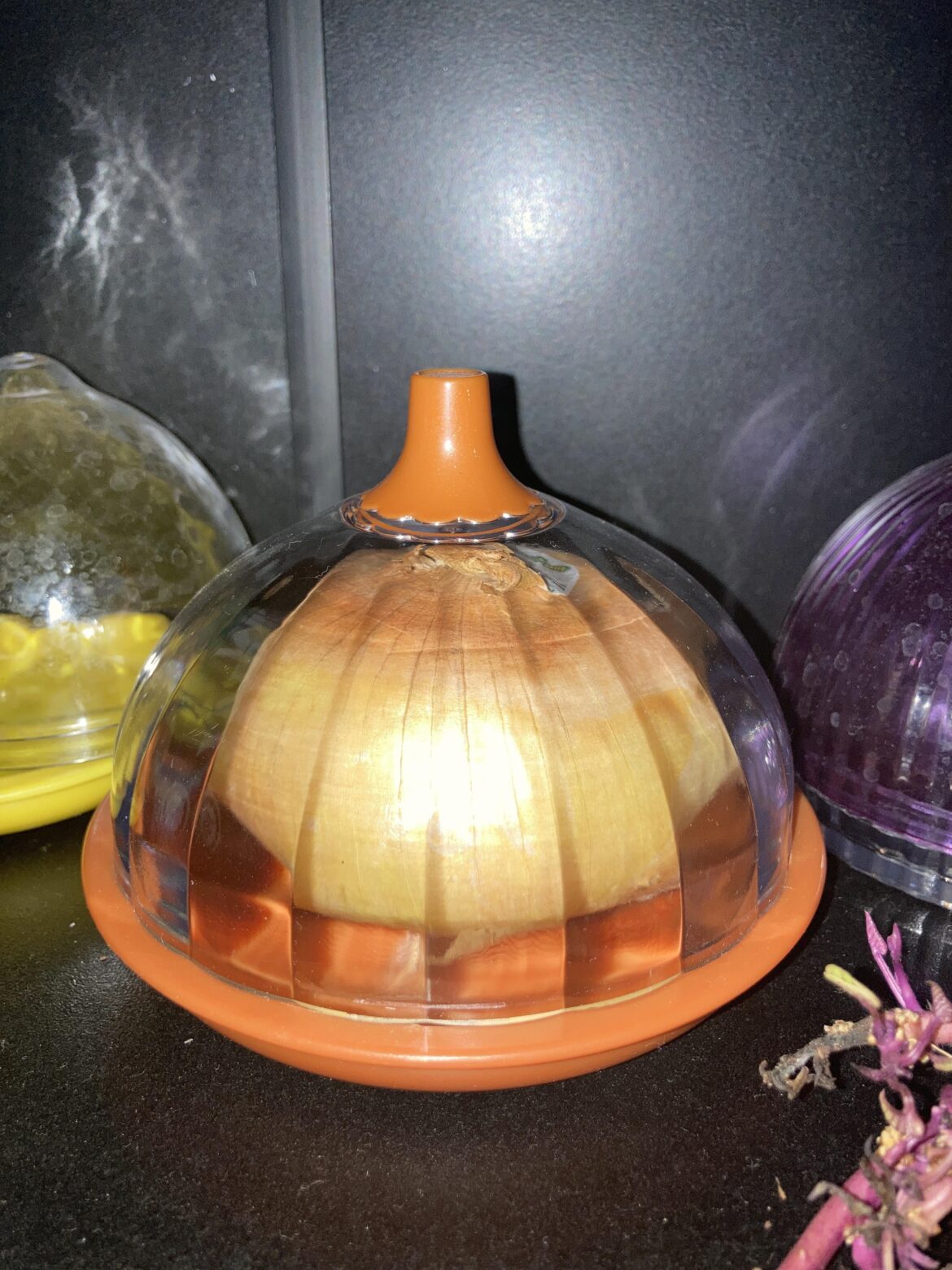 Y’all this is not okay, THIS IS THE **ONLY** ONION J HAVE IN MY HOUSEE!!