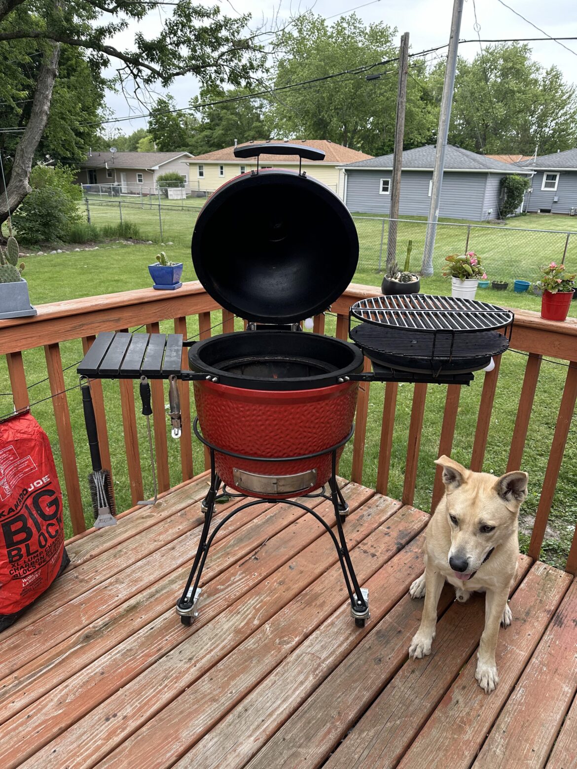 Picked up this classic 1 a few years ago from Lowe’s for $400.  Best “grill” I’ve ever owned!  What do you guys do for maintenance aside from cleaning grates and emptying bin?
