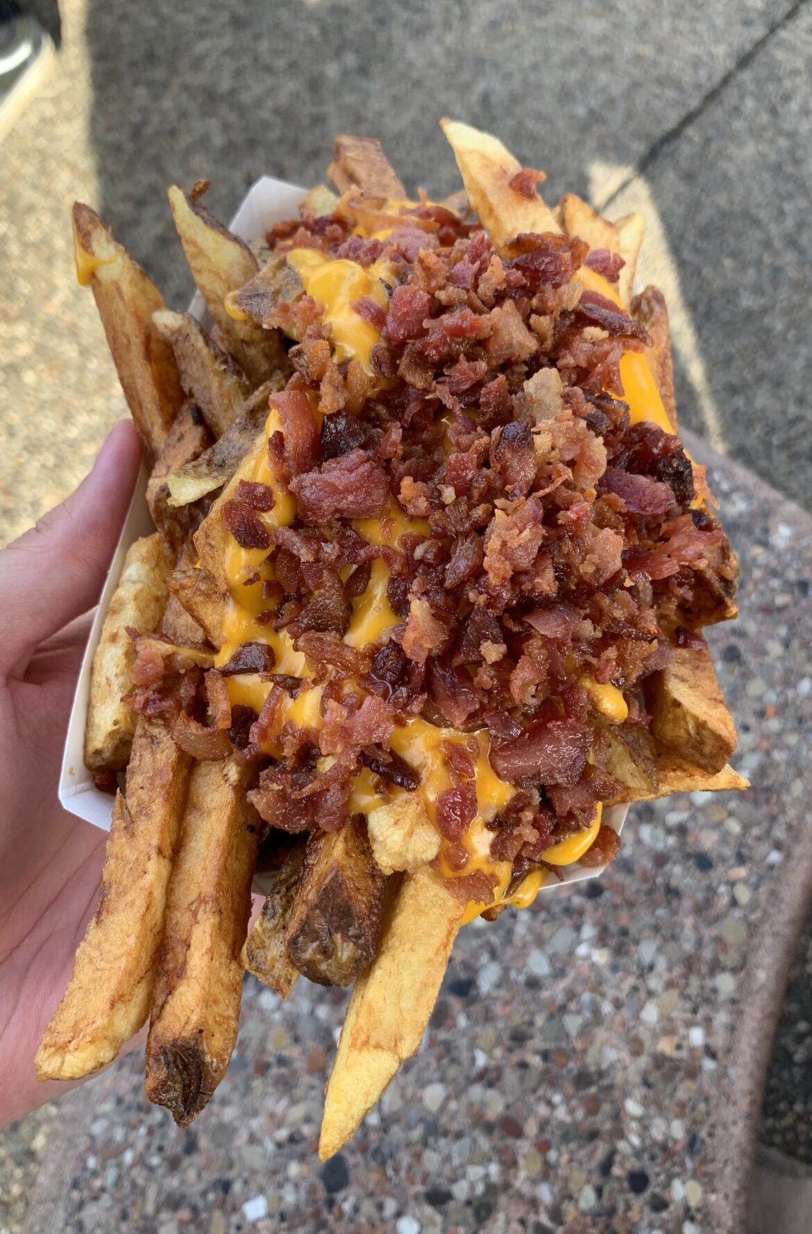 [I ate] Cheddar Cheese and Bacon fries