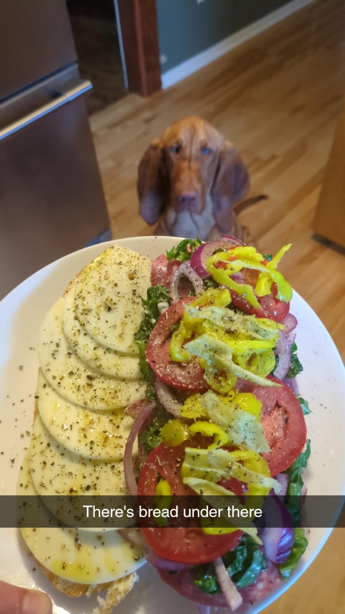 Italian sub Pre-close. Dog tax has been paid.