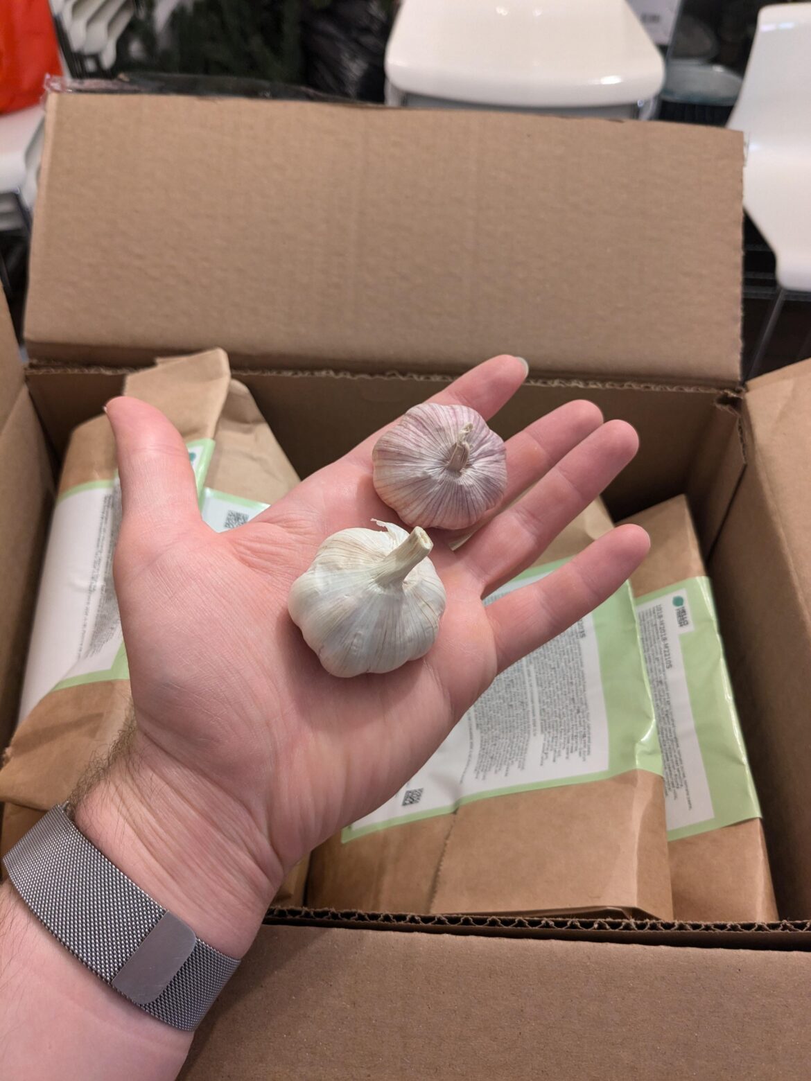 It's a miracle: TWO heads of garlic in my box this week 😌