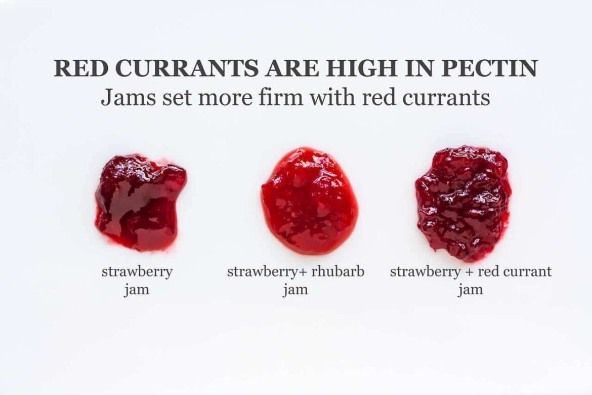 Strawberry-Red Currant Jam Recipe? Strawberry-Red Currant Jam Recipe?