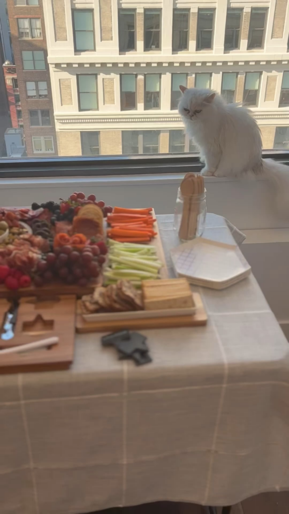 My first time ever hosting a party and first time building a charcuterie board!