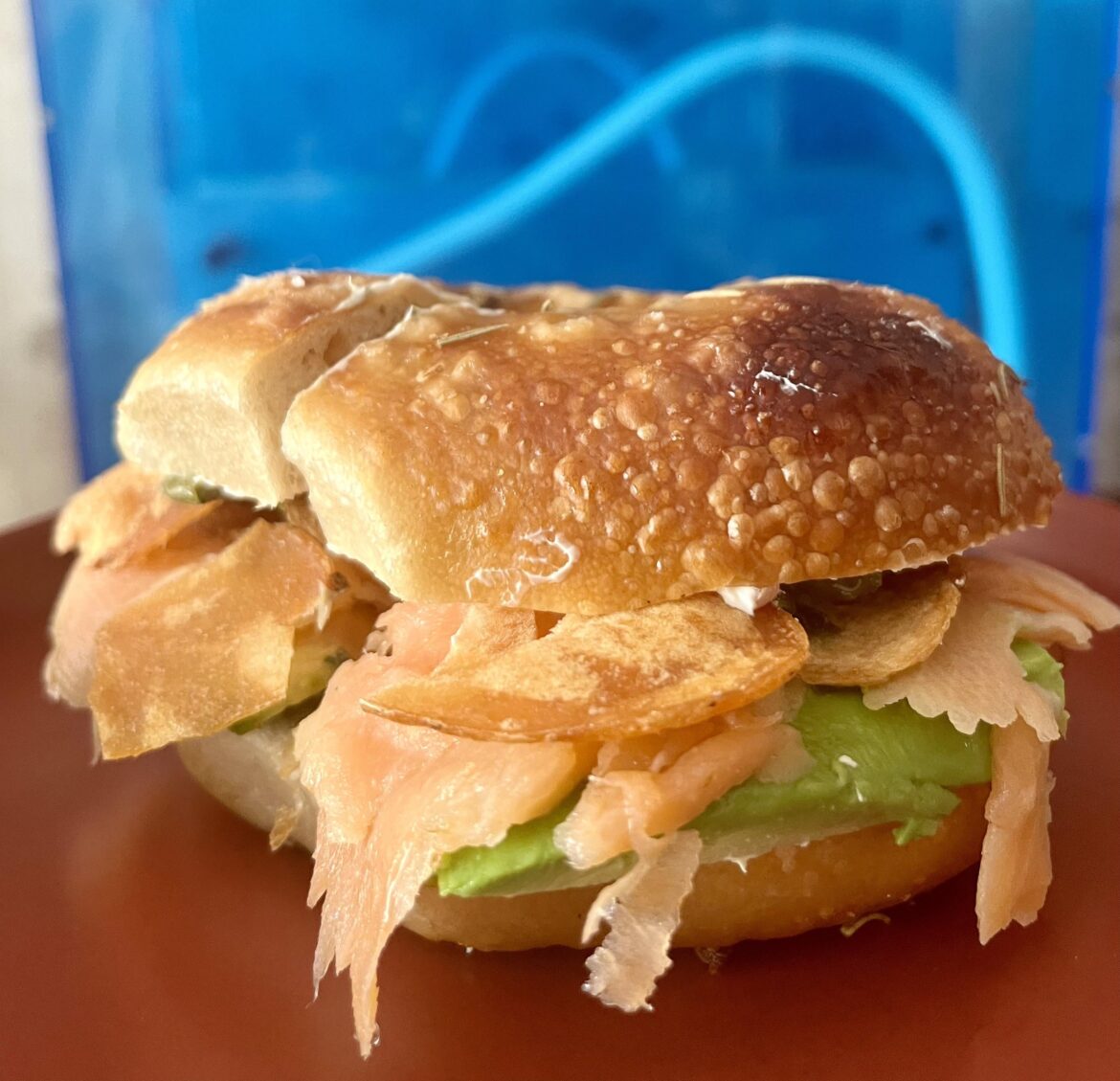 I promise I’ll leave the bagels alone for a while — but this is homemade wasabi-tequila gravlax, avocado, cucumbers, jerk hot sauce, capers, potato chips, and roasted veggie cream cheese on a salted rosemary bagel.