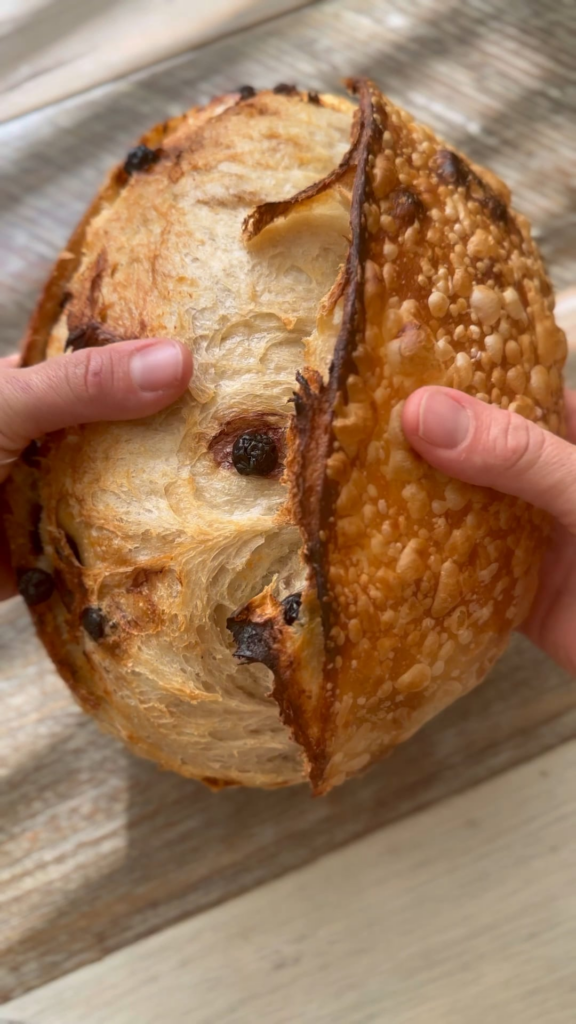 Jane's Sourdough Microbakery - Cranberry/Pecan Sourdough Loaf - Available to order in the Valley