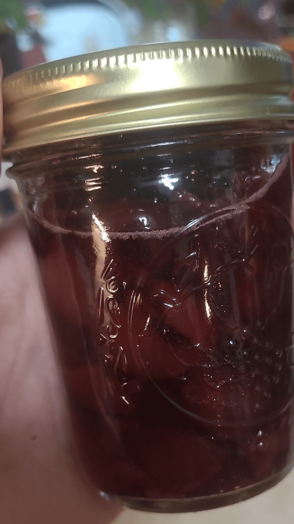 New to canning, I made spiced cherries!