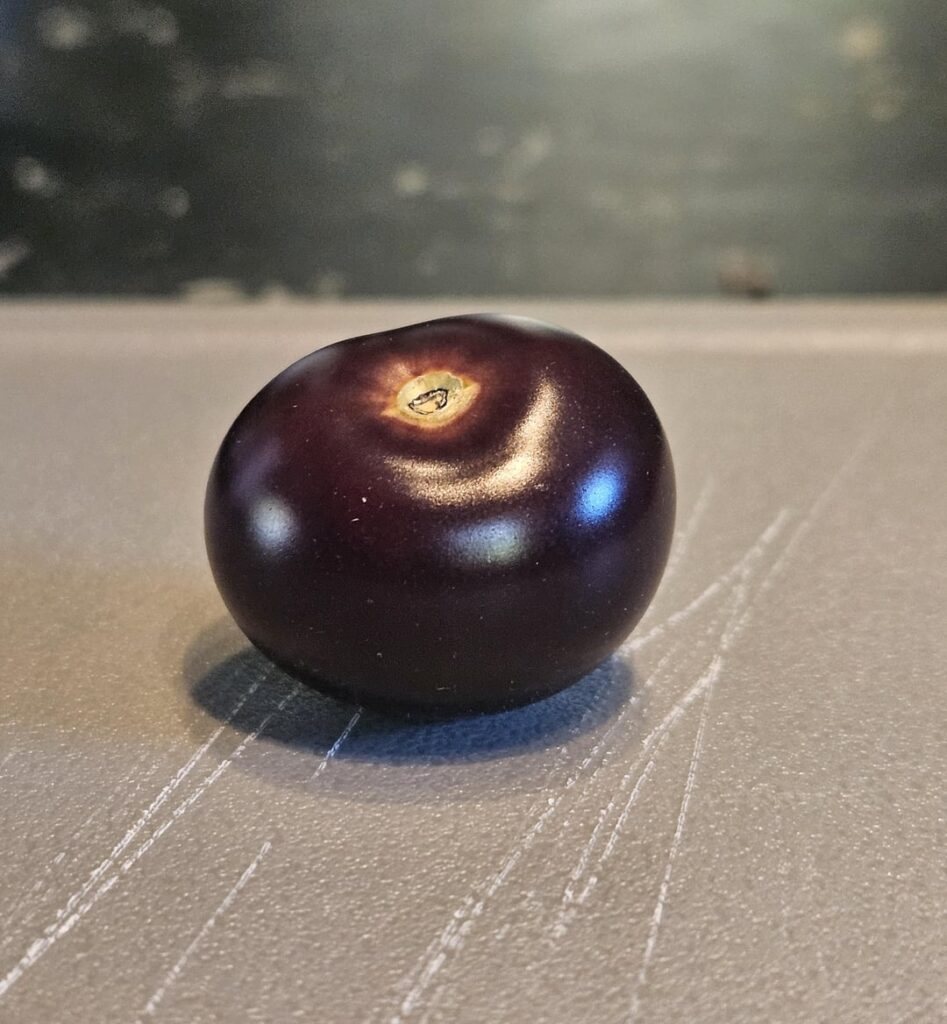 Norfolk Purple Tomato
