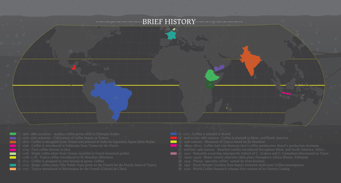 Discovering Brazilian Coffee from Southern Minas Gerais