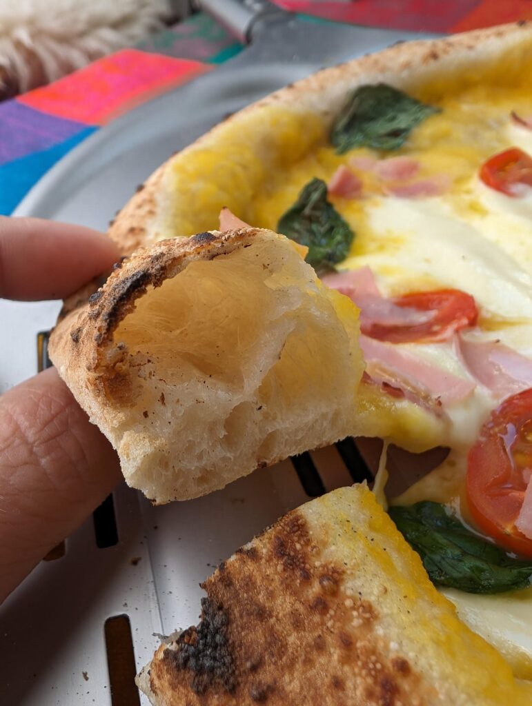 Pizza hawaii rovescio. 62% hyd. 90% 00, 10% Integrale. Direct dough, 24 h at RT. Say what you want but it was delicious.