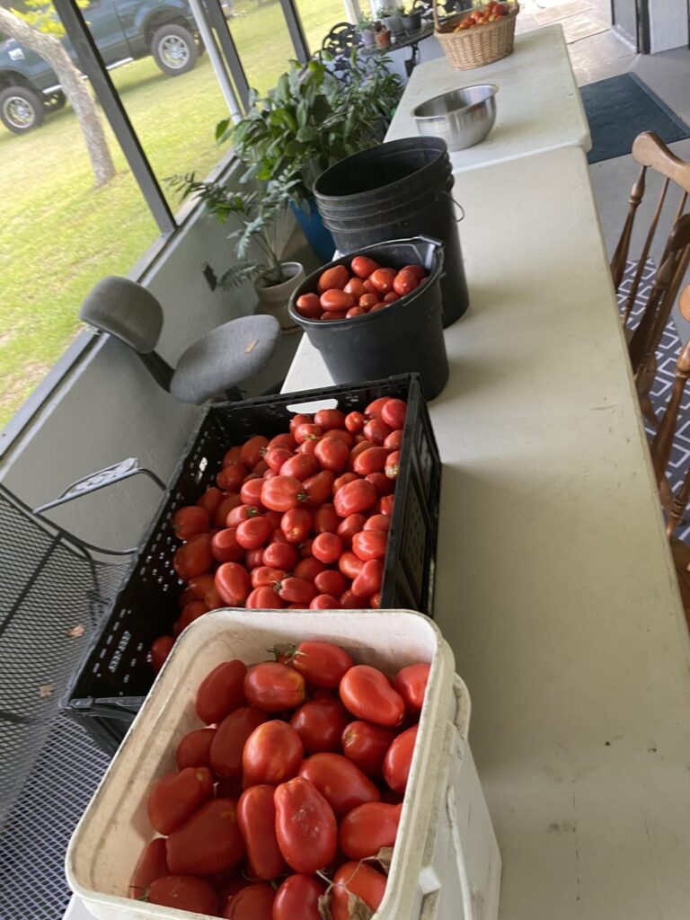 Pre-package sauce recipe Pre-package sauce recipe