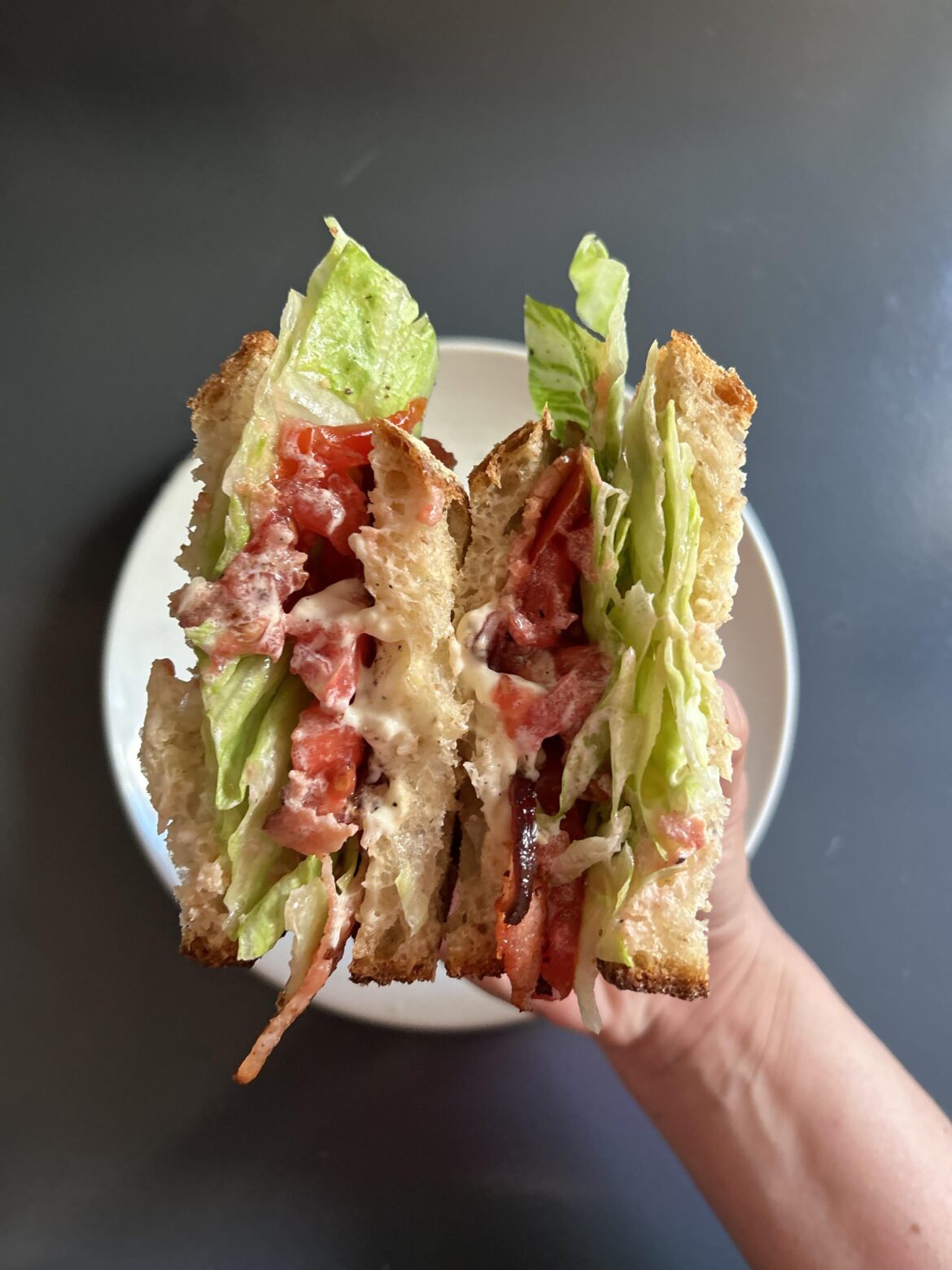 BLT with a cry for help amount of Duke’s