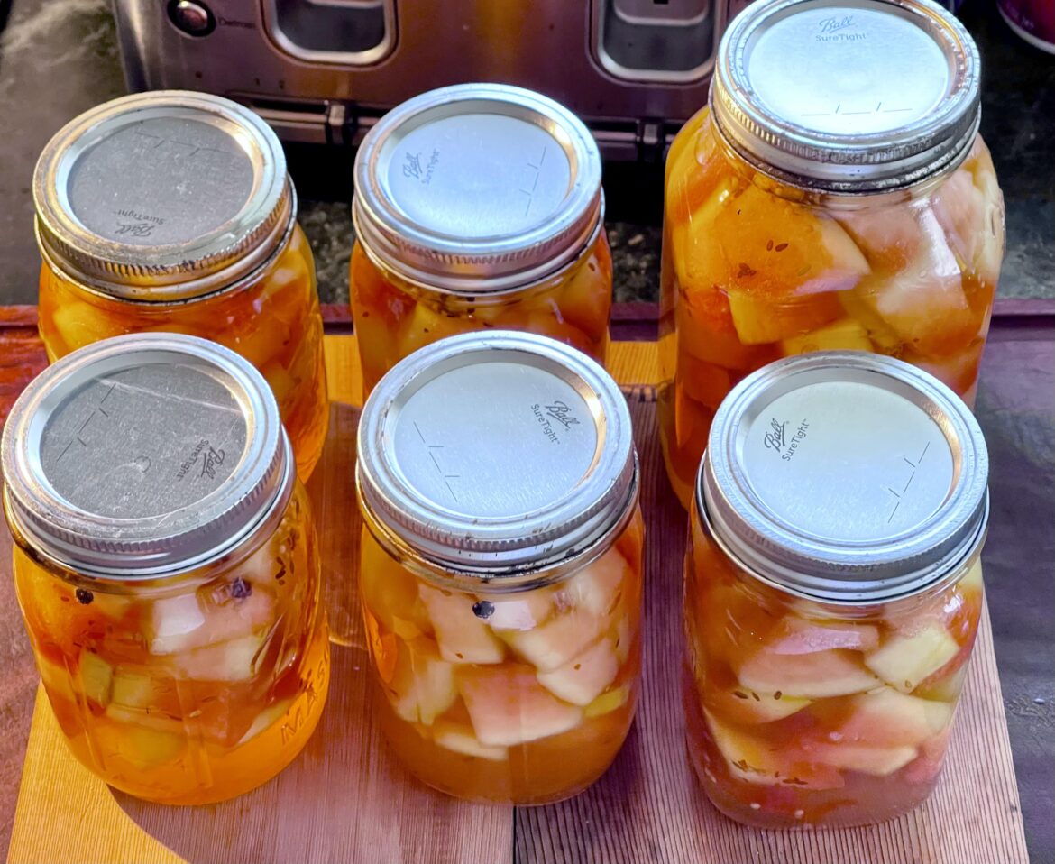 Watermelon Rind Pickles