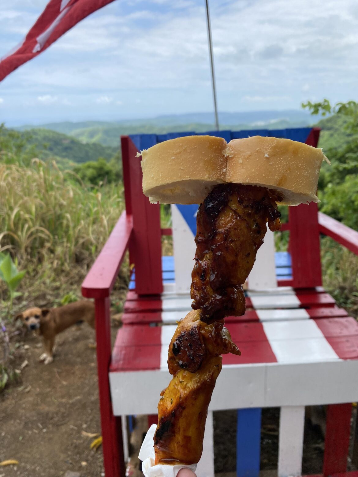 Pinchos in Yauco, PR (side of the road food stand)