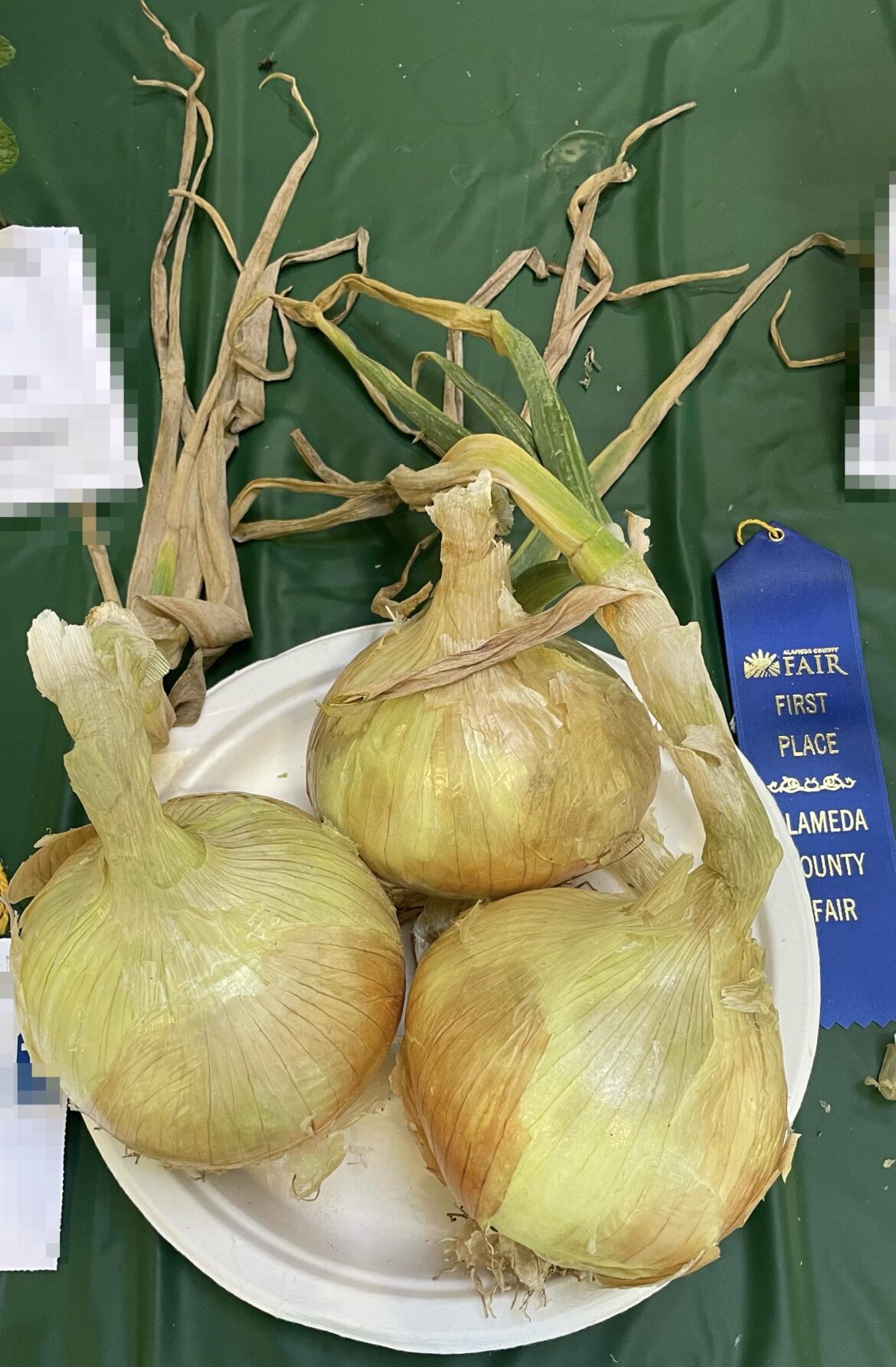 Thought y’all might want to see the best-looking vegetable I saw at the county fair today