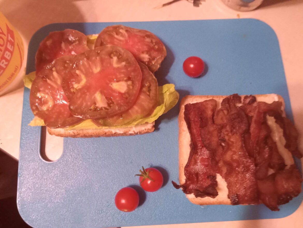 My last Purple Cherokee tomato reached its peak ripeness at 4:20AM. Then I remembered I had bacon, too!